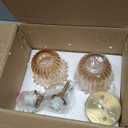 2-Lights Gold Wall Sconce with Amber Glass Shades Modern Mid Century Bathroom Vanity Wall Light Fixtures Industrial Brushed Brass Wall Lamp for Bedroom Mirror Living Room Restaurant