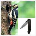 ALBATROSS Premium Damascus Folding Pocket Knife - EDC Knife with 71-Layer Damascus Steel Blade and Ebony Wood Handle - Gift for Men - HGDK005