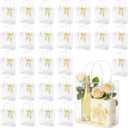 WhizToys 27 PCS Transparent Party Favour Clear Plastic Gift Bags with Handles, 7.9x7.9x3.2Inches, Clear Tote Goodie Bag Bulk PVC Plastic Bags with Handles and Ribbon for Gifts Weddings Birthdays Christmas (1 count (Pack of 27))