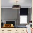 SYDACG 20" Caged Ceiling Fans with Lights, Black and Gold Fandelier Ceiling Fan with Light, Farmhouse Rustic Chandelier Fan Remote Control, 6 Speeds for Bedroom, Nursery, Living Room