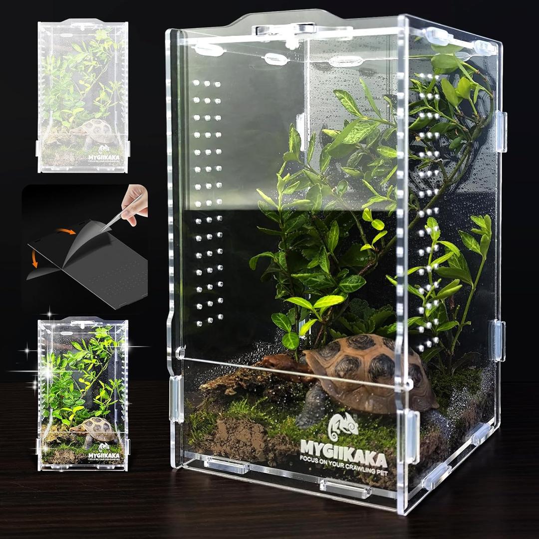 Acrylic Jumping Spider Habitat, Insect Terrarium, Bug Enclosure, Praying Mantis Habitat, Frog Enclosure (Small)