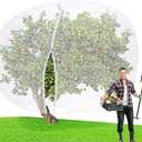 Vincreem 10 x 14 FT Large Fruit Tree Netting Bags Garden Plant Protector with Zipper and Drawstring Blueberry Bushes Netting Covers Plant Protection Mesh Net Bags from Insect Bug Cicada