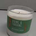 Essential Elements by Candle-Lite Company Wood Wick Scented Candle, Vibing & Thriving, One 16 oz. Single-Wick Aromatherapy Candle with 50 Hours of Burn Time, White