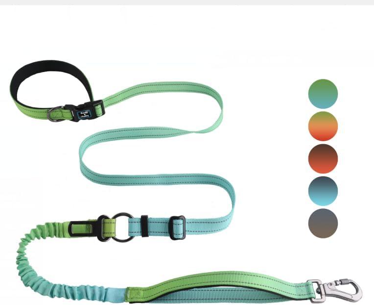 Roses&Poetry Hands Free Dog Leash for Medium Large Dogs Heavy Duty, No Pull Bungee Dog Running Waist Leash for Walking Training with Car Seatbelt 4-6FT (GreenBlue)
