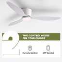 LUDOMIDE Ceiling Fans with Lights, Low Noise Reversible Airflow DC Motor 52 Inch Ceiling Fan with Remote Control, Flush Mount Ceiling Fan for for Bedroom, Living Room