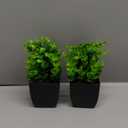 Der Rose 2 Pack Fake Plants Small Artificial Mini