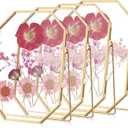 Yalikop 4 Pcs 5 x 7 Inches Glass Pressed Flower Frame Floating Picture Photo Octagon Frame, Double Tabletop Artwork Flower Plant Hanging Display for Home Office Wedding Gifts DIY Decor (Gold)