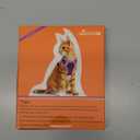 Halypet Cat Harness and Leash Set [MAX Safety 4th-Gen Upgrade] Escape Proof Adjustable Cat Leash Comfortable Soft Vest Easy to Wear Kitten Harness with Reflective Strip for Cats Walking, M Black (Medium (13-18lb))