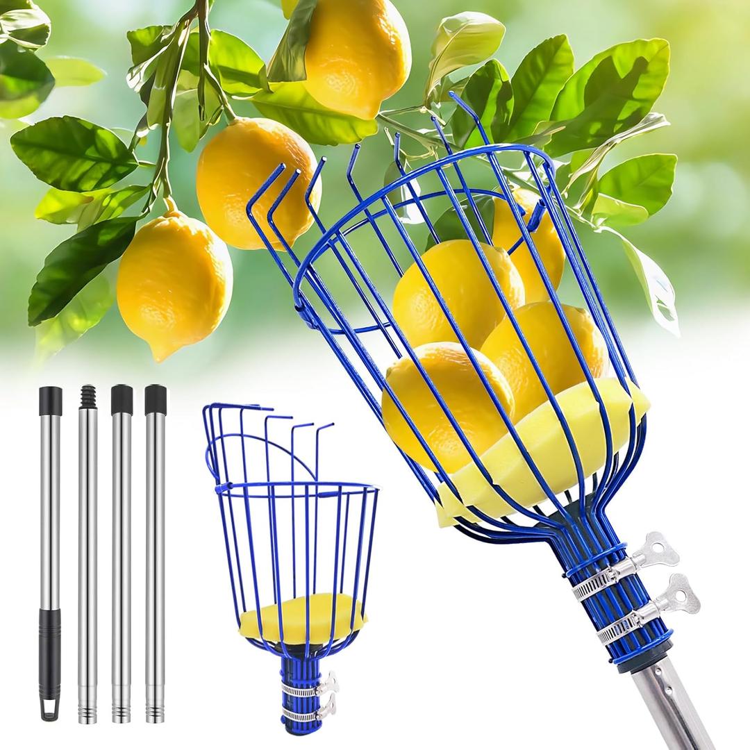 RAIN SPIRIT Fruit Picker Pole tool with Basket, 6FT Telescoping extension fruit picking rod for Apples Mango Orange Pear Tree Picker, nut picking with Adjustable Stainless Steel Rod (Blue)