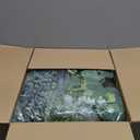 Ceenna 400 Pcs 6 Kinds Mixed Greenery Stem Artificial Faux Eucalyptus Leaves Silver Dollar Eucalyptus Picks and Sprays for Vase Dried Fake Greenery Filler Leaves Bundle for Wedding Floral Arrangement