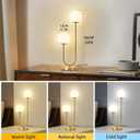 Mid Century Modern Globe Table Lamp Gold U-Shape Glass Table lamp 2-Globe Bedside Lamp with LED G9 Light Source Ideal for Bedroom & Office