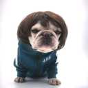 2 x Funny Dog Cat Cosplay Wig,Pet Wigs for Halloween, Christmas, Parties, Festivals, Dog Wigs for Small Medium and Large Dogs Black Brown Straight