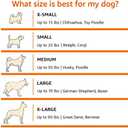 Amazon Basics Portable Folding Soft Dog Crate, Double Door, Collapsible Travel Kennel, Easy to Set Up, Sturdy, Secure, XL 42" x 31" x 31", Tan