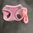 Soft Mesh Dog Harness and Leash Set,No Escape Puppy Harnesses for Training Walking， Reflective Adjustable Puppy Vest for Small Medium Dogs, Cats (Pink, XXXS)