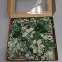 Ling's moment Flowers 25pcs Fake Gardenia Green Flowers Artificial Flowers with Stem, Fake Flower for DIY Wedding Decorations Centerpieces Bouquets BoutonnieresFlores Artificiales para Decoracion