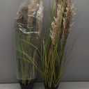 Alonfala - 43" Artificial Pampas Grass (2-Pack) - Faux Tall Grass Plants in Pots for Indoor Floor Decor, Housewarming, Home Office, Living Room