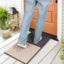 2 in 1 Shoe Disinfectant Mat,Cleaning and Sanitizing Shoe Mat,Non-Slip Entryway Rug Welcome Mats for Indoor Outdoor,Door Mats for Kitchen,Classroom,Restaurant,18x33 inches