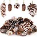 JOHOUSE 28PCS Natural Pine Cones with Strings, Hanging Christmas Ornaments, Garland/Wreath DIY, Autumn Winter Vase Fillers & Farmhouse Decor