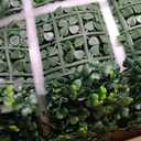 ODTORY Artificial Boxwood Wall Panels 20x20 inch 26Pcs, UV-Anti Faux Greenery Grass Hedge for Privacy ScreenFake Ivy Plant Fence for Outdoor Garden, Backyard, Balcony, and Indoor Home Decoration