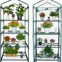 Mini Greenhouse for Indoor Outdoor, Small Plants Green House with 4 Tier Shelves, Portable Plastic Greenhouses with Transparent PVC Cover for Garden Backyard Patio Balcony Porch