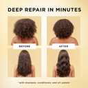 Pantene Miracle Rescue Regenerative Hair Oil - 2.0 FL Oz - Deep Repair Treatment for Dry & Damaged Hair