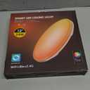 Smart LED Ceiling Light Fixture, Modern Dimmable Flush Mount Ceiling Light, Compatible with Alexa & Google Home, Lighting for Bedroom, Kitchen, Living Room, 12 Inch