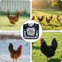 4 x Chicken Saddle for Hens for Protection, 7.48 Inch Comfortable Hen Aprons with Adjustable Strap Chicken Clothes Back & Side Protector Outdoor Poultry Protective Accessories (Black and White)