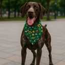 St. Patricks Day Dog Bandana, Lucky Shamrock Clover Triangle Scarf for Small and Medium Dogs, Green Holiday Party Puppy Kerchief Pet Accessory