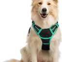 Rabbitgoo Dog Harness No Pull with 2 Leash Clips, Adjustable Soft Padded, Reflective Oxford No Choke Pet Vest with Easy Control Handle for Medium Sized Dogs, Black & Turquoise, M