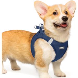 rabbitgoo Small Dog Harness, Step-in Soft Mesh Puppy Vest with Safety Buckle, Breathable Reflective Pet Harness for Small Medium Dogs, Navy Blue L, L(Chest:18.2"-20.5")