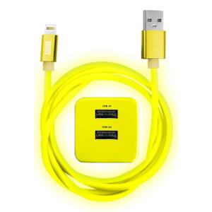 Sarina MFi Certified iPhone USB to Lightning Cable Lightning & Type-C iPhone Charger Cord with 4FT, 6FT, 10FT Lengths - Compatible with All iPhone, iPad Models 