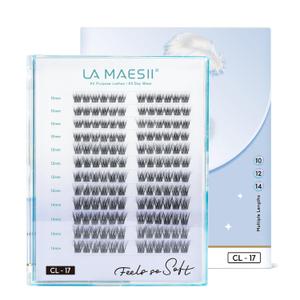 LA MAESII 144Pcs Lash Clusters, Wispy Natural Eyelash Clusters, C Curl 1014mm Individual Lashes Eyelash Extension,Large Tray(PL17)
