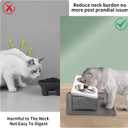 Upgraded Elevated Cat Bowls with Food Mat,15Tilted Stand Anti Vomiting Raised Cat Dishes for Food and Water,2 Stainless Steel Bowls for Cats and PuppyWhite