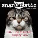 2026 Snarcatstic Wall Calendar, 12" x 12"