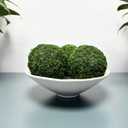 Moss Balls Decorative for Bowls,Handmade Large Moss Decorative Balls for Vase Fillers Home Garden Party Wedding Patio Decors (3.55"-Set of 8)