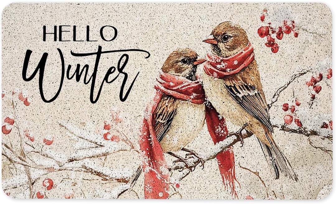 Hello Winter Sparrow Bird Door Mat, Snowy Christmas Berry Bird Doormat for Front Door Indoor Outdoor Entrance Porch, Winter Xmas Welcome Mat Outside, Xmas Holiday Bath Mats, 17x30 Inches
