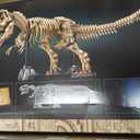 LEGO Jurassic World Dinosaur Fossils: Tyrannosaurus Rex - Building Set for Adults, Ages 18+ - Dinosaur Gift for Movie Lovers - Collectible Home Decor for Bedroom, Office, or Any Room - 76968