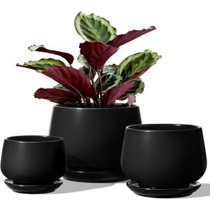 LE TAUCI Plant Pots, 4.1+5.1+6.5 inch, Set of 3, Ceramic Planters with Drainage Hole and Saucer, Indoor Flower Pot with Hole Mesh Pad, Gifts for Mom, Black