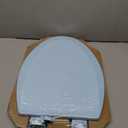 Bemis 1500EC 464 Dresden Blue Elongated Molded Wood Toilet Seat with Easy-Clean & Change Hinge, 1 Pack