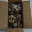 Rocks for Plants 5 Lbs, 0.4-1.2 Inch High Polished Pebbels, Decorative Stones for Garden Landscaping, Smooth Gravel Filler for Outdoor Plants, Succulents, Fish Tank and Vases (colored)