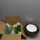 Artificial Fake Hanging Flowers Plants Baskets Spring Outdoor Decor, Outdoor Faux Silk White Morning Glory Eucalyptus in Planter UV Resistant Realistic for Outside Porch Patio Balcony Garden Yard Home (12 Bundles)