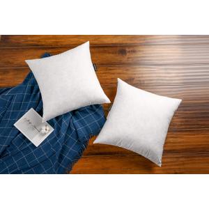 JA COMFORTS 2222 Premium Goose Down Feather Throw Pillow Inserts(Set of 2)-5% Down Filling,High Filling Weight,250 TC Cotton Cover, Square, White
