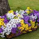 SupBri Artificial Flowers for Outdoor UV Resistant, Silk Pansies Fowers for Outside,Fake Plants Faux Flowers for Outdoor Planters Garden Patio Front Summer Spring Decor (12 Bundles)