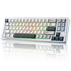 YUNZII AL71 75% Mechanical Keyboard,Full Aluminum CNC,Hot Swappable Gasket,2.4GHz Wireless BT5.0/USB-C Wired,NKRO Programmable RGB Backlight Creamy Typing for Win/Mac(Silver,Crystal White Switch)