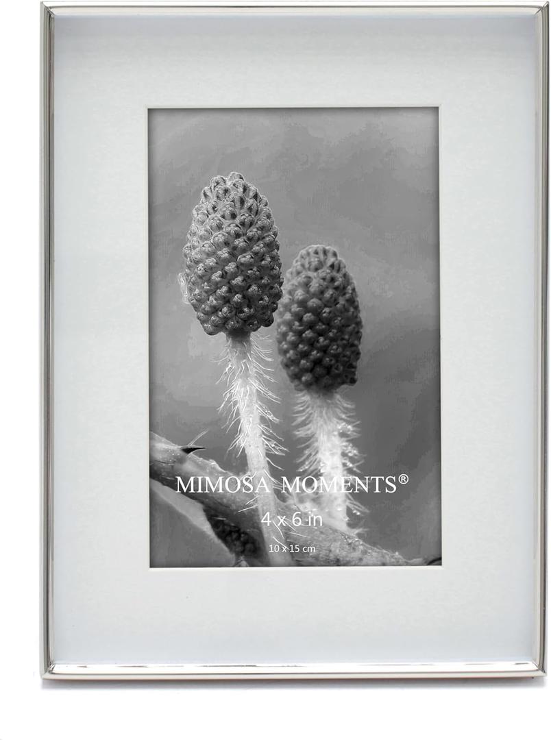 MIMOSA MOMENTS 6x8 Metal Picture Frame with Mat for 4x6 Photo, Shadowbox Frame for Tabletop Display (Silver, 4X6)