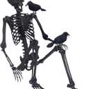 5.4Ft Halloween Skeleton, Posable Skeleton Full Size Skeleton with Movable Joints and 2PC Black Feathered Crows for Halloween Decorations Outside and Inside