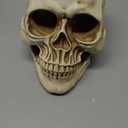 READAEER Life Size Resin Skull, Large Size Adult Skull Head Model for Home Decoration, Halloween Skull Statue, Human Skull Head Model (White)