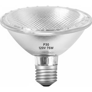 Jaenmsa Par30 Long Neck Halogen Flood Bulbs 75W 120V, Par30 Halogen Indoor Floodlight Bulbs Outdoor E26 Dimmable 2700K Bulb 2 Pack for 56in Recessed/Ceiling Can/Accent/Tracking Lights