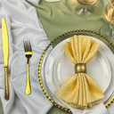 13-Inch Acrylic Clear Charger Plates,Gold Charger Plate Set of 10pcs - Elegant Decorative Dinner Plates Chargers for Wedding Reception, Holiday Party, Family Gathering & Table Setting
