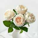 YalzoneMet 3.5'' Big Bloom Champagne Rose Artificial Flowers 4Pcs Real Touch Rose Faux 17.7Inch Long Stem Austen Roses Peonies Fake Flowers for Boho Home Kitchen Party Spring Flower Wedding Decor